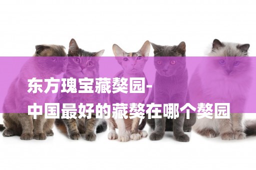 東方瑰寶藏獒園-
中國最好的藏獒在哪個獒園