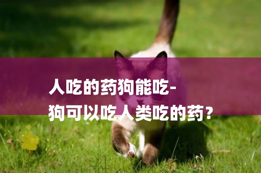 人吃的藥狗能吃-
狗可以吃人類吃的藥？