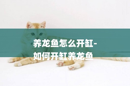 養龍魚怎么開缸-
如何開缸養龍魚