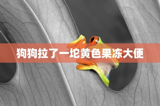 狗狗拉了一坨黃色果凍大便