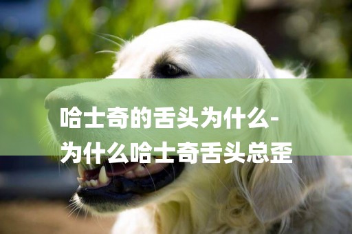 哈士奇的舌頭為什么-
為什么哈士奇舌頭總歪