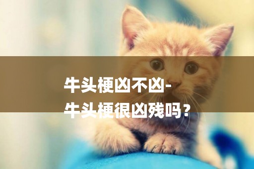 牛頭梗兇不兇-
牛頭梗很兇殘嗎？