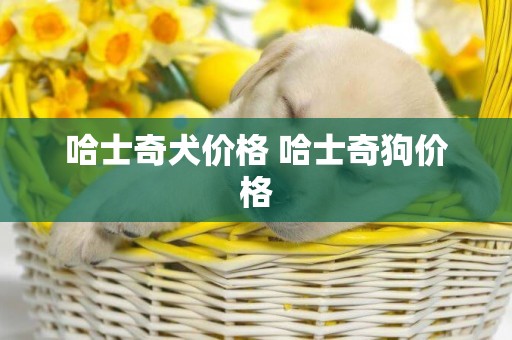 哈士奇犬價格 哈士奇狗價格