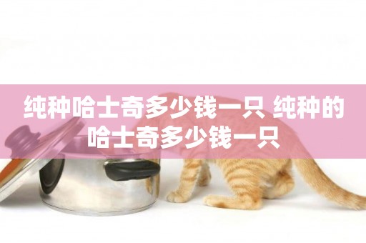 純種哈士奇多少錢一只 純種的哈士奇多少錢一只
