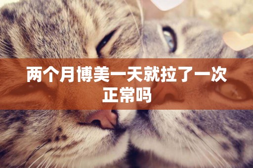 兩個月博美一天就拉了一次正常嗎
