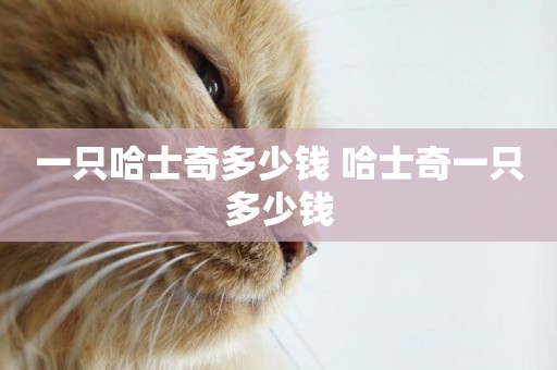 一只哈士奇多少錢 哈士奇一只多少錢