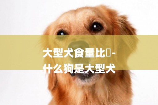 大型犬食量比較-
什么狗是大型犬