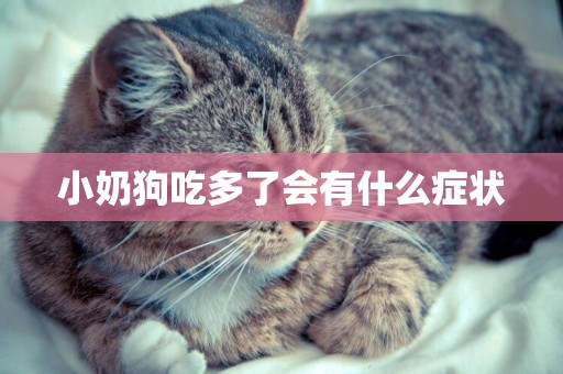 小奶狗吃多了會有什么癥狀