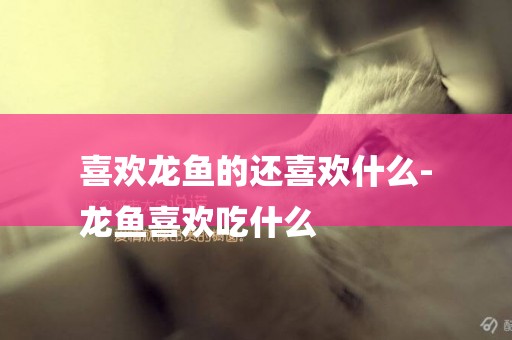 喜歡龍魚的還喜歡什么-
龍魚喜歡吃什么