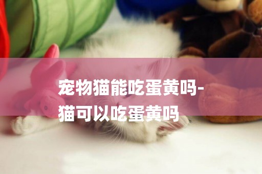 寵物貓能吃蛋黃嗎-
貓可以吃蛋黃嗎