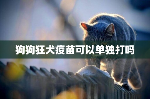 狗狗狂犬疫苗可以單獨打嗎