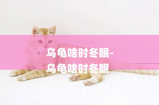 烏龜啥時冬眠-
烏龜啥時冬眠