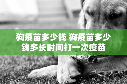 狗疫苗多少錢 狗疫苗多少錢多長時間打一次疫苗