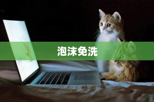 泡沫免洗