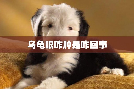 烏龜眼咋腫是咋回事