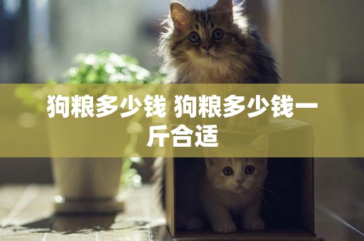 狗糧多少錢 狗糧多少錢一斤合適