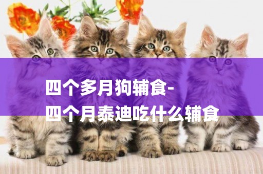 四個多月狗輔食-
四個月泰迪吃什么輔食