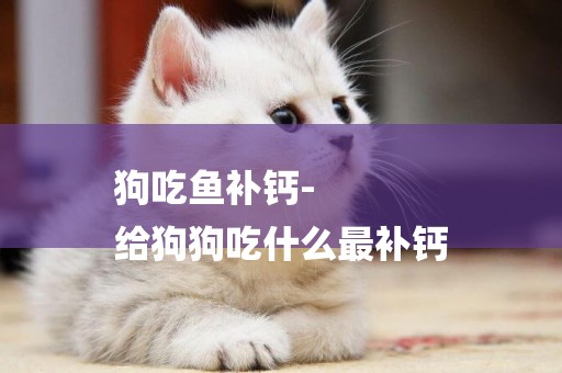 狗吃魚補鈣-
給狗狗吃什么最補鈣