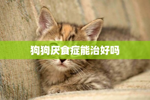 狗狗厭食癥能治好嗎