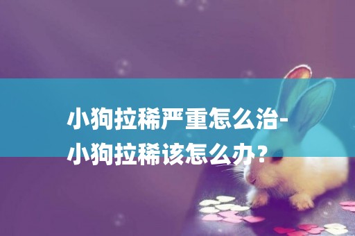 小狗拉稀嚴重怎么治-
小狗拉稀該怎么辦？