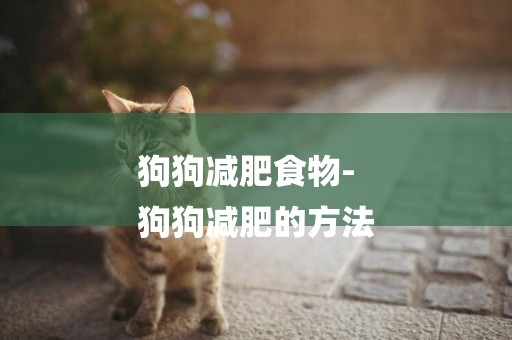 狗狗減肥食物-
狗狗減肥的方法
