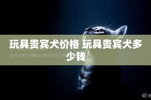 玩具貴賓犬價格 玩具貴賓犬多少錢