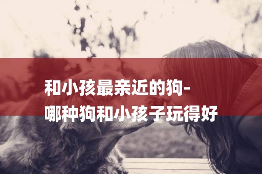 和小孩最親近的狗-
哪種狗和小孩子玩得好