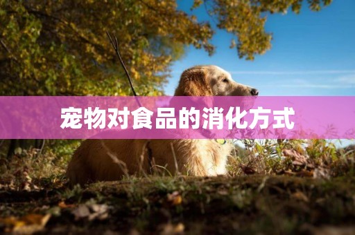 寵物對食品的消化方式