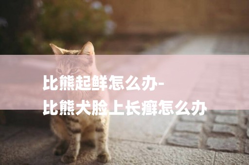 比熊起鮮怎么辦-
比熊犬臉上長癬怎么辦