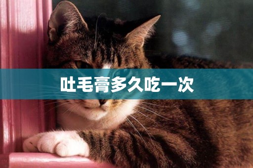 吐毛膏多久吃一次