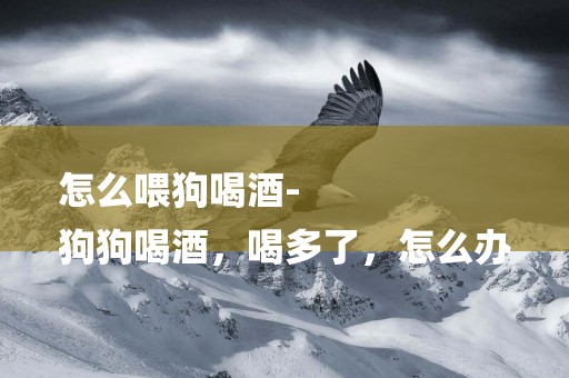 怎么喂狗喝酒-
狗狗喝酒，喝多了，怎么辦
