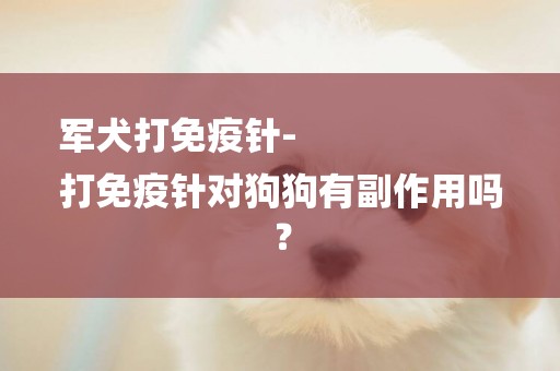 軍犬打免疫針-
打免疫針對狗狗有副作用嗎？