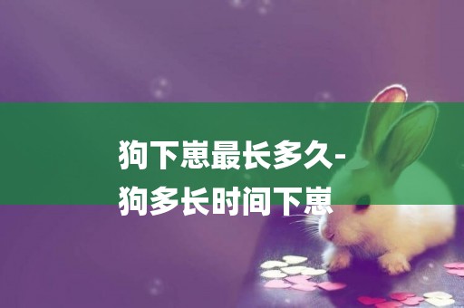 狗下崽最長多久-
狗多長時間下崽