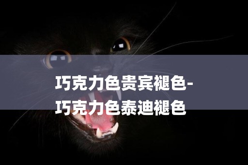 巧克力色貴賓褪色-
巧克力色泰迪褪色