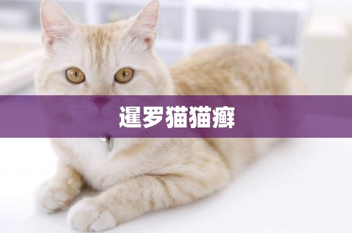 暹羅貓貓癬