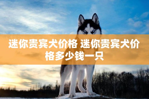迷你貴賓犬價格 迷你貴賓犬價格多少錢一只