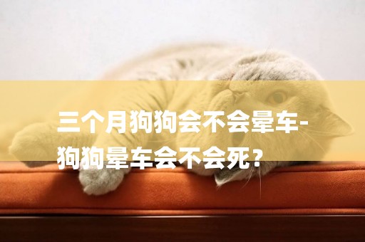 三個月狗狗會不會暈車-
狗狗暈車會不會死？