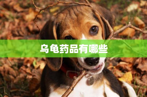 烏龜藥品有哪些