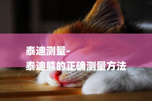 泰迪測量-
泰迪熊的正確測量方法