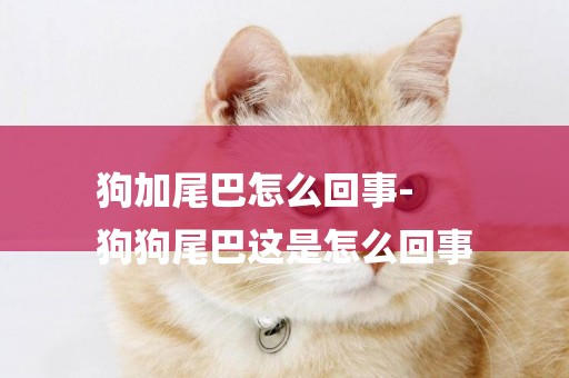 狗加尾巴怎么回事-
狗狗尾巴這是怎么回事
