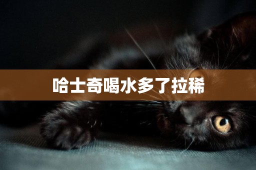 哈士奇喝水多了拉稀