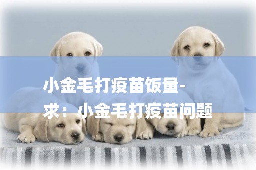 小金毛打疫苗飯量-
求：小金毛打疫苗問題