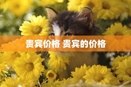貴賓價格 貴賓的價格