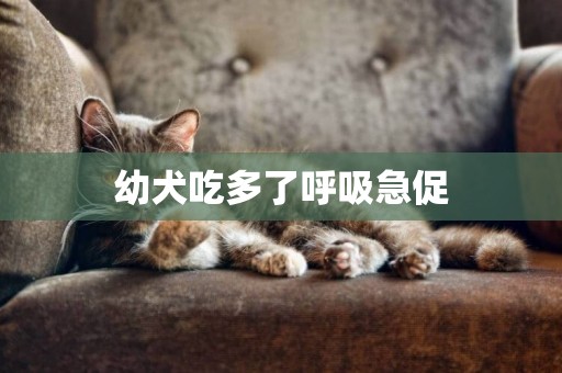 幼犬吃多了呼吸急促
