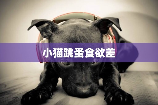 小貓跳蚤食欲差