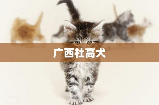 廣西杜高犬