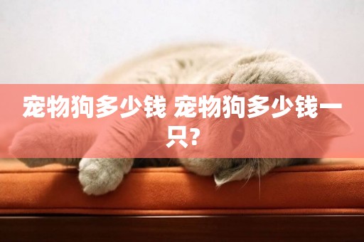 寵物狗多少錢 寵物狗多少錢一只?
