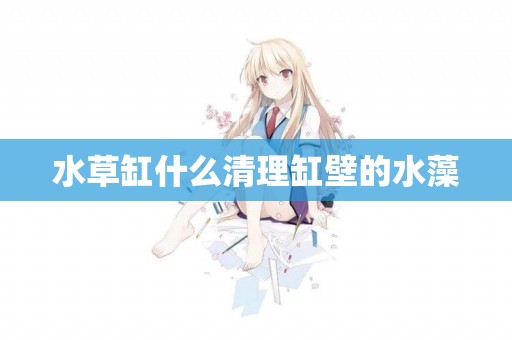 水草缸什么清理缸壁的水藻