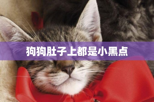 狗狗肚子上都是小黑點