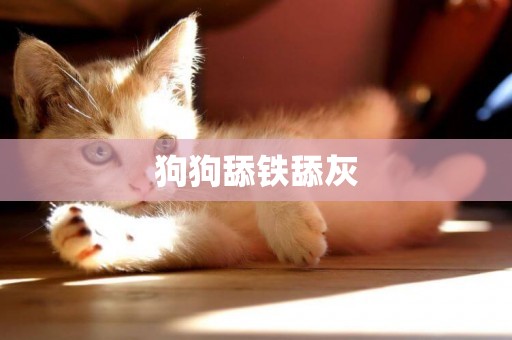 狗狗舔鐵舔灰